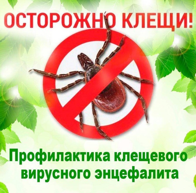 О Всероссийской горячей линии по профилактике клещевого энцефалита и инфекций, передающихся клещами.